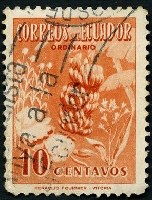 Equador - 1954 - Produtos Agricolas Bananas - 10Ctvs