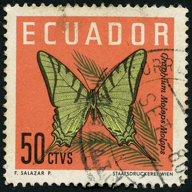 Equador - 1958 - Graphium Molops Molops - 50C