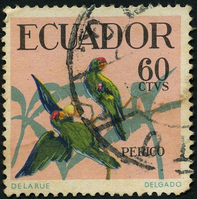 Equador - 1958 - Perico - 60C