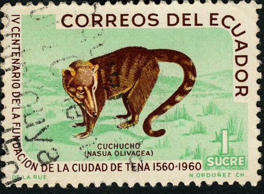 Equador - 1960 - IV Centenario Fundacao Tena Cuchucho - 1S