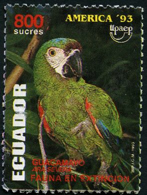 Equador - 1960 - CIF Iglesia El Belen Quito - 3S