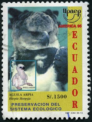 Equador - 1960 - Ano Mundial Refugiados - 0.80S