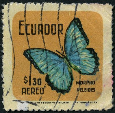 Equador - 1961 - Morpho Peleides - 30C