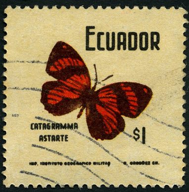 Equador - 1961 - Catagramma Astarte Fundo Bege - 1S