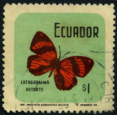 Equador - 1961 - Catagramma Astarte Fundo Verde - 1S