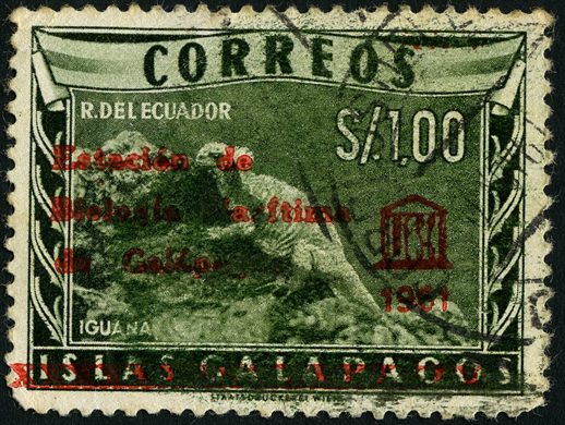 Equador - 1961 - Iguana Galapagos UNESCO - 1S