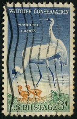 Estados Unidos da America - 1957 - Conservacao Vida Selvagem Grou Branco - 3C