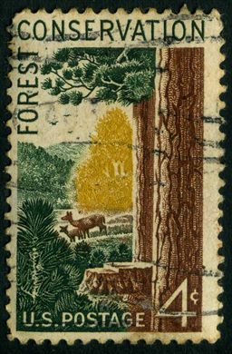 Estados Unidos da America - 1958 - Conservacao de Florestas - 4C
