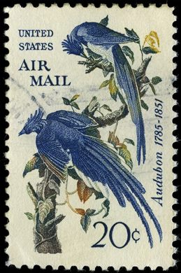 Estados Unidos da America - 1967 - Aves de Audubon Pegas Azuis - 20C