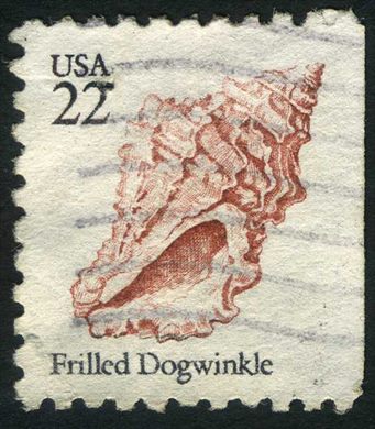 Estados Unidos da America - 1985 - Conchas Marinhas Frilled Dogwinkle - 22C