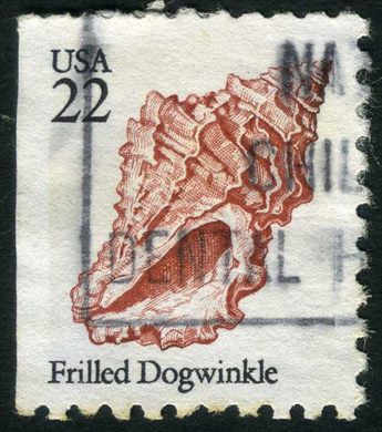Estados Unidos da America - 1985 - Conchas Marinhas Frilled Dogwinkle - 22C
