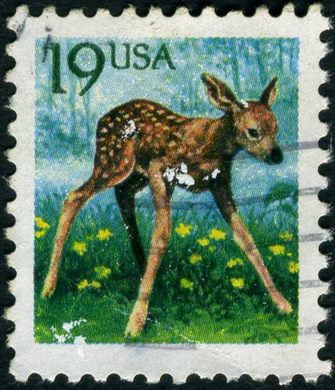 Estados Unidos da America - 1991 - Flora e Fauna Cria de Veado - 19C