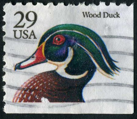 Estados Unidos da America - 1991 - Flora e Fauna Pato Carolino - 29C