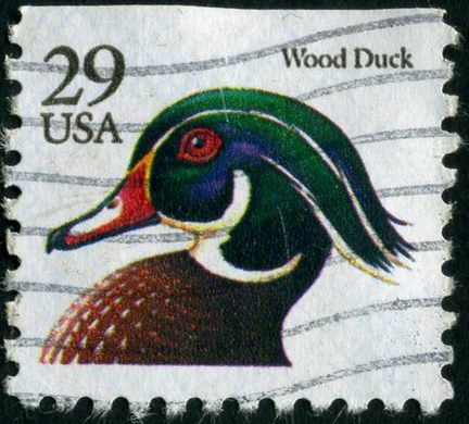 Estados Unidos da America - 1991 - Flora e Fauna Pato Carolino - 29C