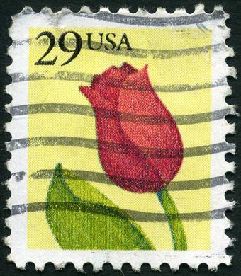 Estados Unidos da America - 1991 - Tulipa - 29C