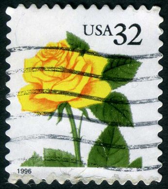 Estados Unidos da America - 1996 - Rosa Amarela - 32C