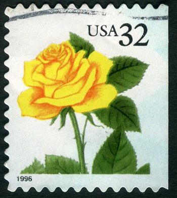 Estados Unidos da America - 1996 - Rosa Amarela - 32C