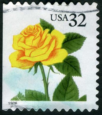 Estados Unidos da America - 1996 - Rosa Amarela - 32C