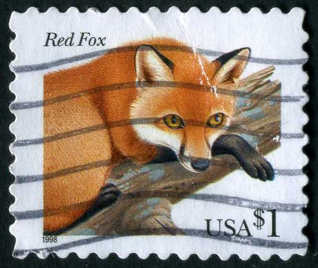 Estados Unidos da America - 1998 - Flora e Fauna Raposa Vermelha - 1Dol