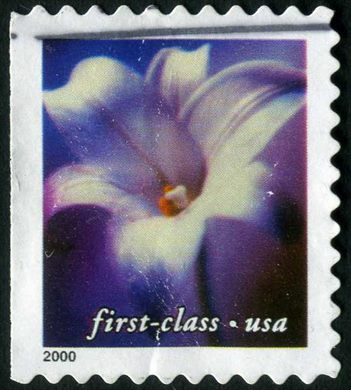 Estados Unidos da America - 2000 - Lirio Longiflorum - First Class