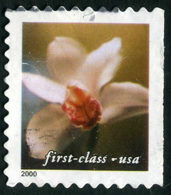 Estados Unidos da America - 2000 - Quatro Flores Orquidea Cymbidium - Sem Valor