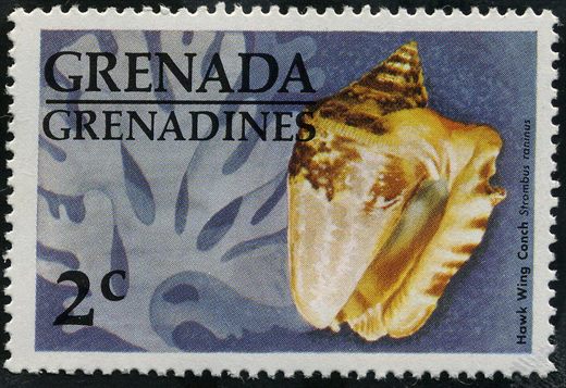 Granadinas de Granada - 1976 - Conchas - Hawk Wing Conch - 2C
