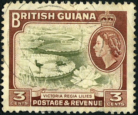 Guiana Inglesa - 1954 - Definitivos Isabel II - Nenufares Victoria Regia - 3C