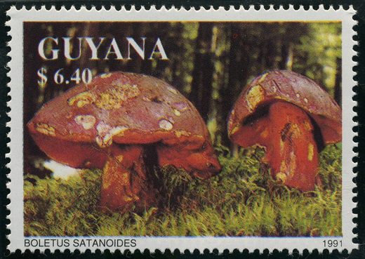 Guiana - 1990 - Locomotivas a Vapor - Class 3F 0-6-0T No 16466 - 2.55D