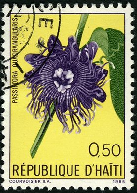 Haiti - 1965 - Flores - Passiflora Quadrangularis - 0.50G