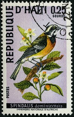 Haiti - 1969 - Aves - Spindalis Dominicensis - 0.25G