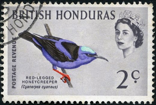Honduras Britanicas - 1962 - Aves - Saira de Pernas Vermelhas - 2C