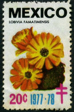 Mexico (CNLT) - 1977-78 - Lobivia famatimensis - 20C