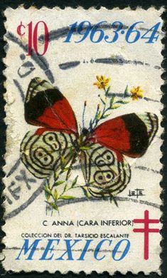 Mexico - 1963 - Vinheta Antituberculose C anna - 10C