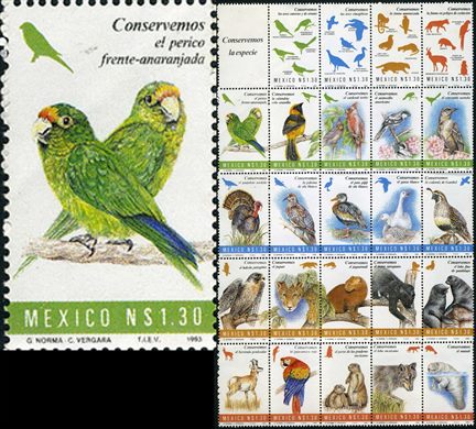 Mexico - 1993 - Conservemos a Especie Perico Frente Anaranjada - 1.30NP
