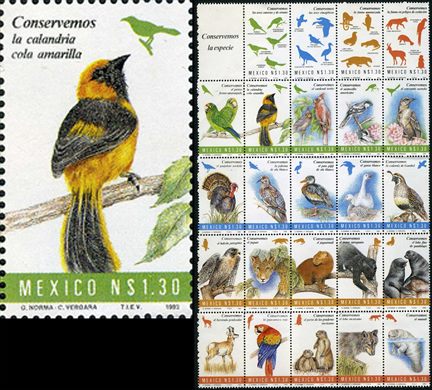 Mexico - 1993 - Conservemos a Especie Calandria Cola Amarilla - 1.30NP