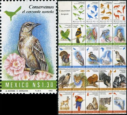 Mexico - 1993 - Conservemos a Especie Cenzontle Nortenho - 1.30NP