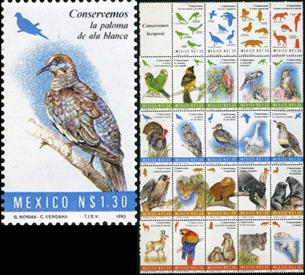 Mexico - 1993 - Conservemos a Especie Paloma de Ala Blanca - 1.30NP