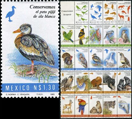 Mexico - 1993 - Conservemos a Especie Pato Pijiji de Ala Blanca - 1.30NP