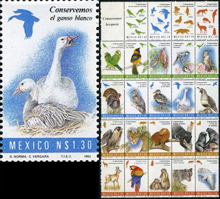 Mexico - 1993 - Conservemos a Especie Ganso Blanco - 1.30NP
