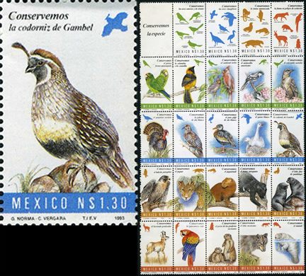 Mexico - 1993 - Conservemos a Especie Codorniz de Gambel - 1.30NP