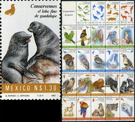 Mexico - 1993 - Conservemos a Especie Lobo Fino de Guadalupe - 1.30NP