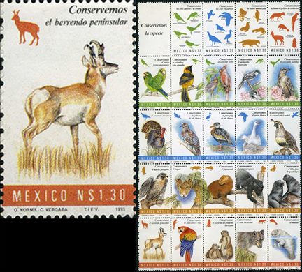 Mexico - 1993 - Conservemos a Especie Berrendo Peninsular - 1.30NP