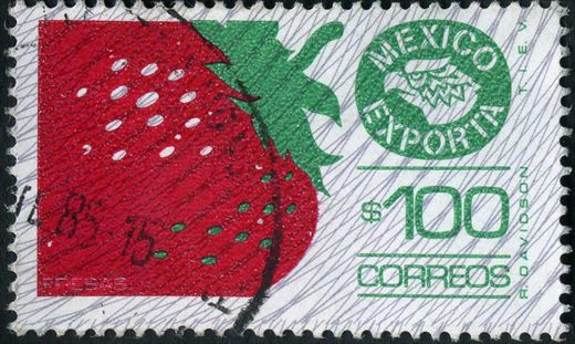 Mexico - Sem Data - Mexico Exporta Fresas - 100P