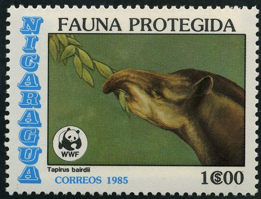 Nicaragua - 1985 - Sexto Aniversario da Revolucao Servico Militar - 9C00