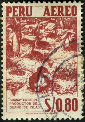 Peru - 1953 - Guanay Productor Guano - 0.80S