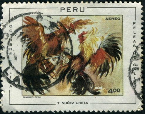 Peru - 1970 - Octubre en Lima Peleas de Gallos - 4S