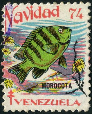 Venezuela (Vinhetas) - 1974 - Vineta Antituberculosis Morocota - Sem Valor
