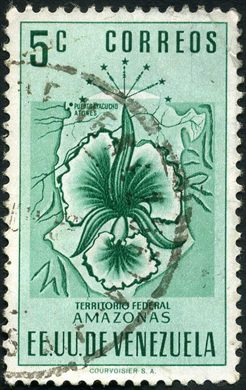 Venezuela - 1951 - Escudos de Armas - Territorio Federal Amazonas - 5C