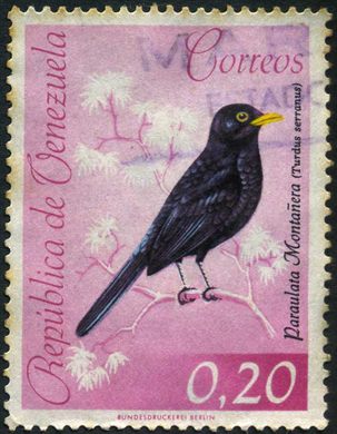 Venezuela - 1962 - Aves - Paraulata Montanera Turdus serranus - 20C