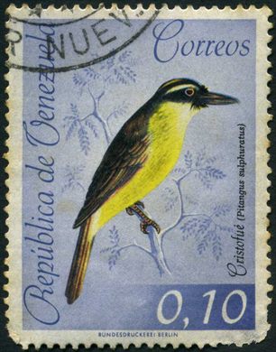 Venezuela - 1962 - Aves Cristofue Pitangus sulphuratus - 0.10Bs